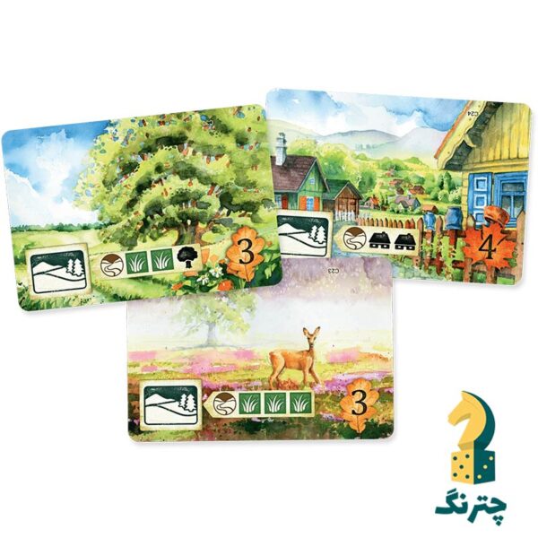بازی رومیزی چمنزار - تصویر 3