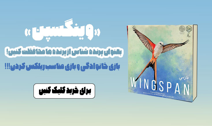 بازی فکری وینگسپن